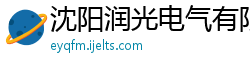 沈阳润光电气有限公司